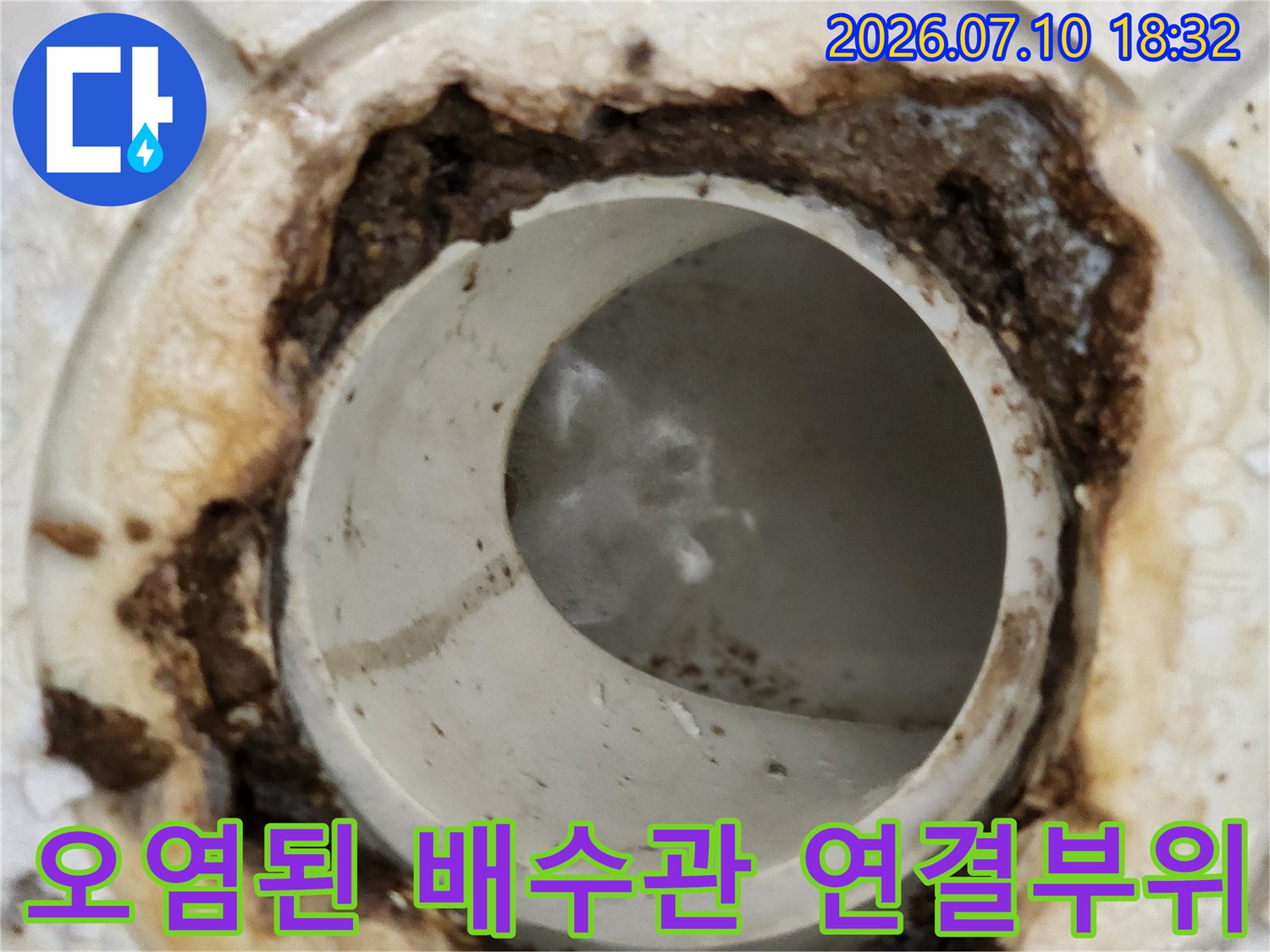 검게 오염된 하수구 입구와 내부 배관 모습