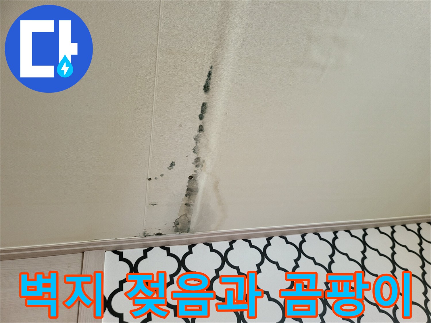 천장 벽지를 따라 번진 물자국과 곰팡이 오염 부위