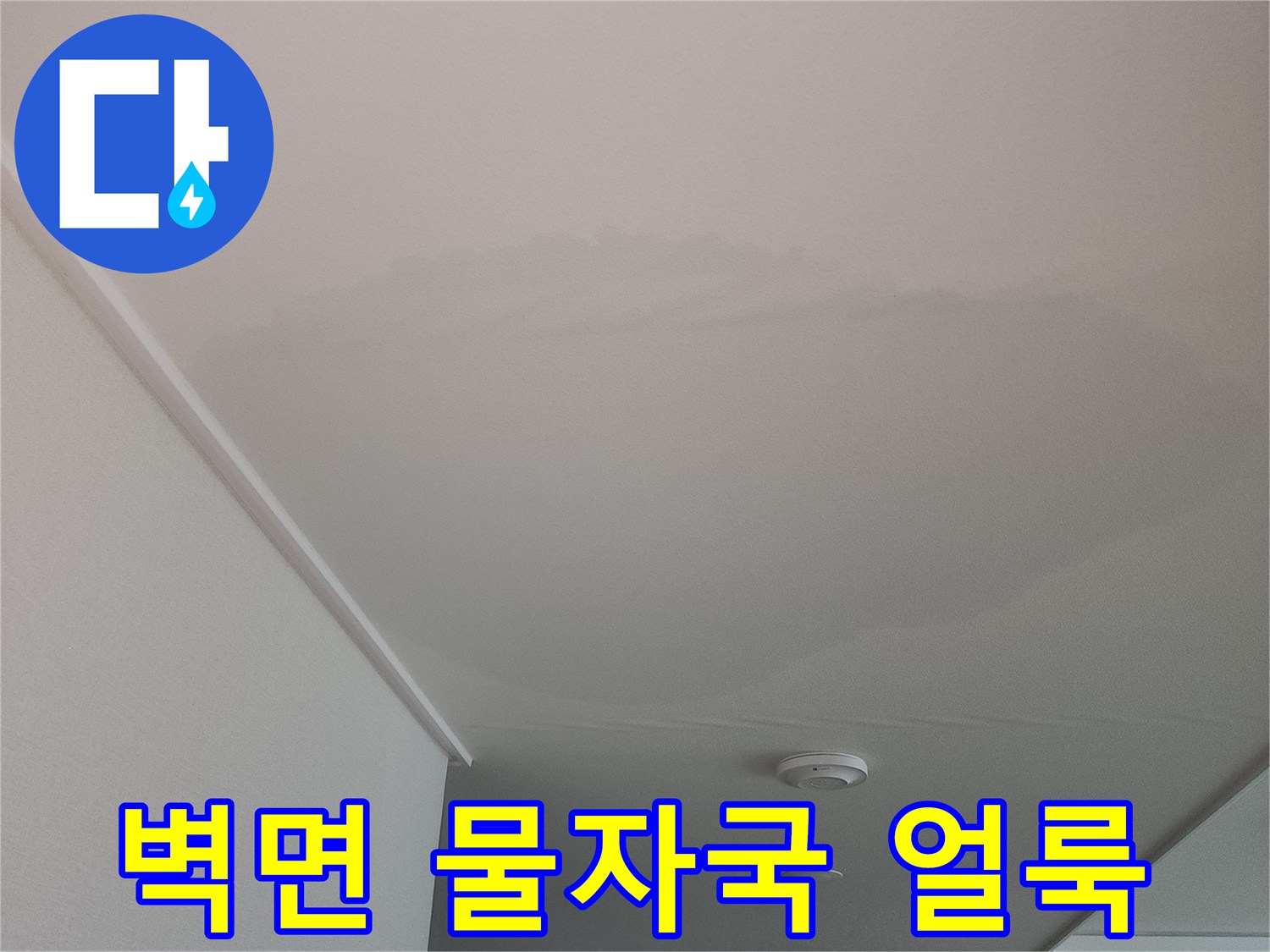 고양시-아파트-벽면-물자국-및-변색-상태