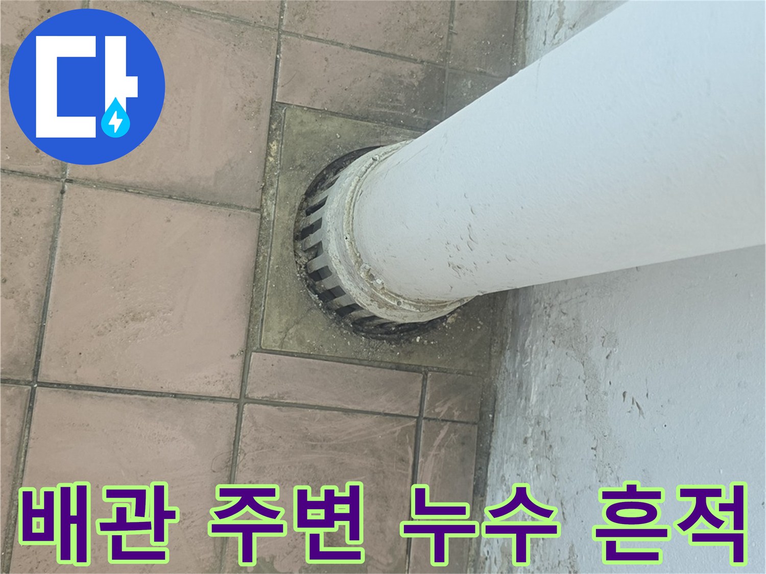 세탁실 하수구-물샘이 발생한 배수구 주변 상태