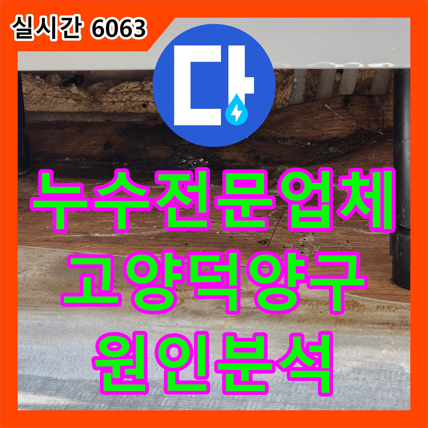 누수전문업체 LPG 보일러 배관 동파로 인한 부엌 누수 지점을 정밀 점검한 경기 고양시 덕양구 현장