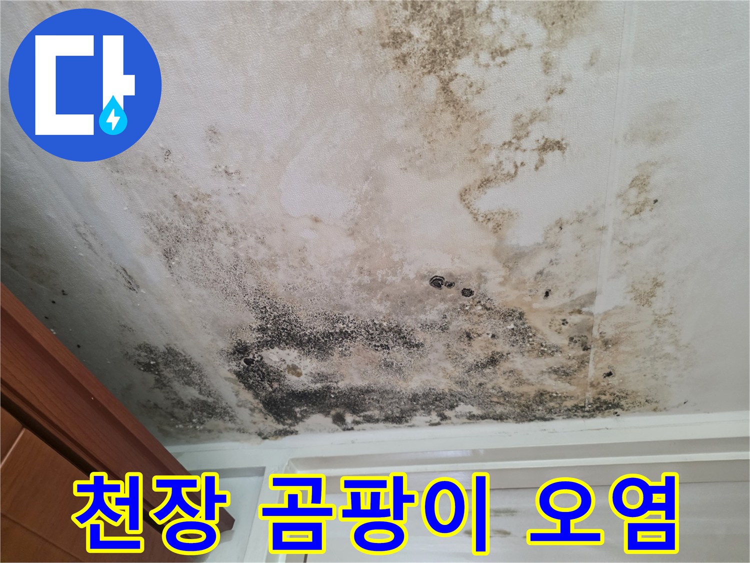 검게 변한-천장의 곰팡이 오염 상태