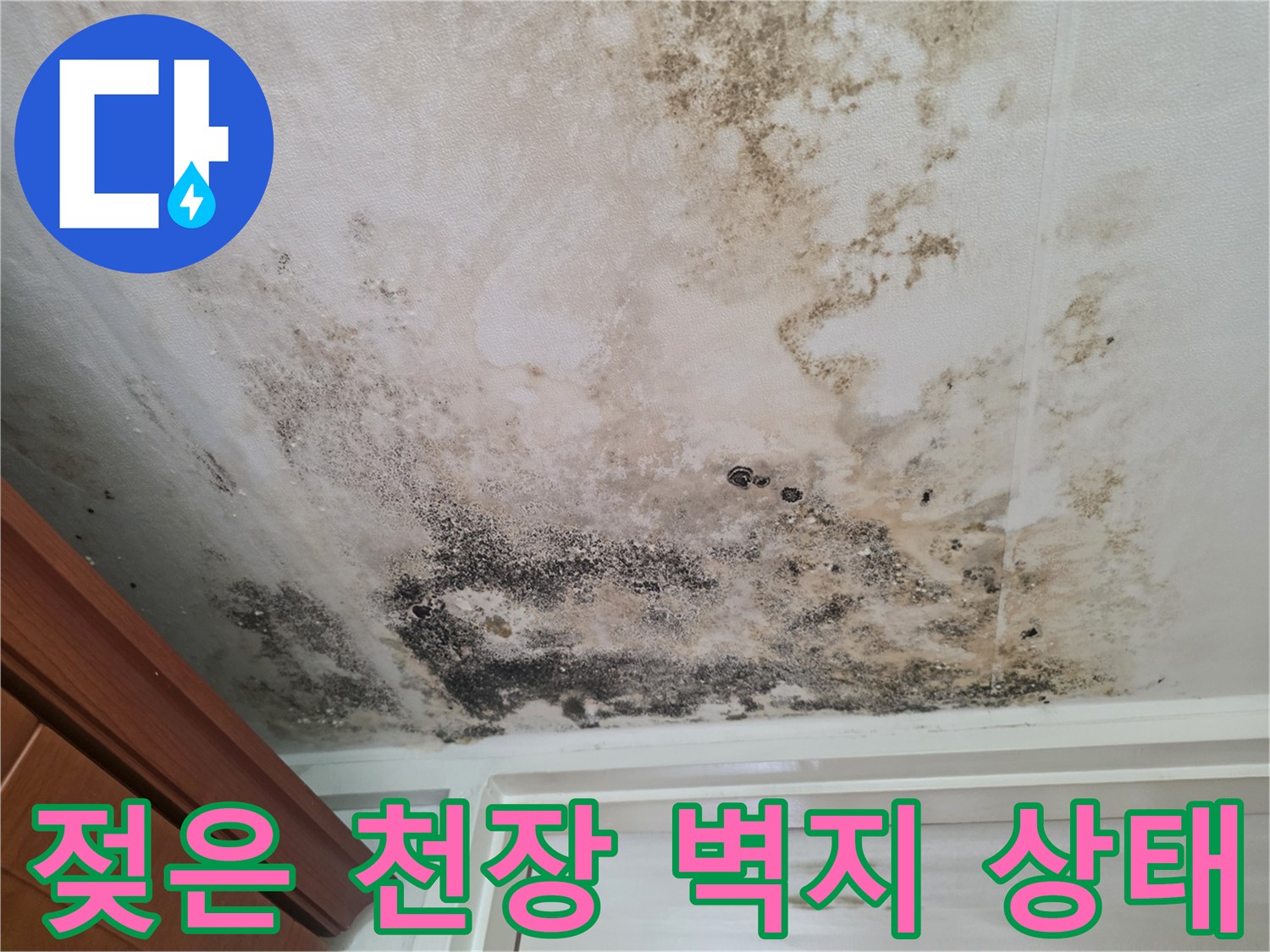 물기에-젖어-거뭇하게-변한-천장-벽면의-모습