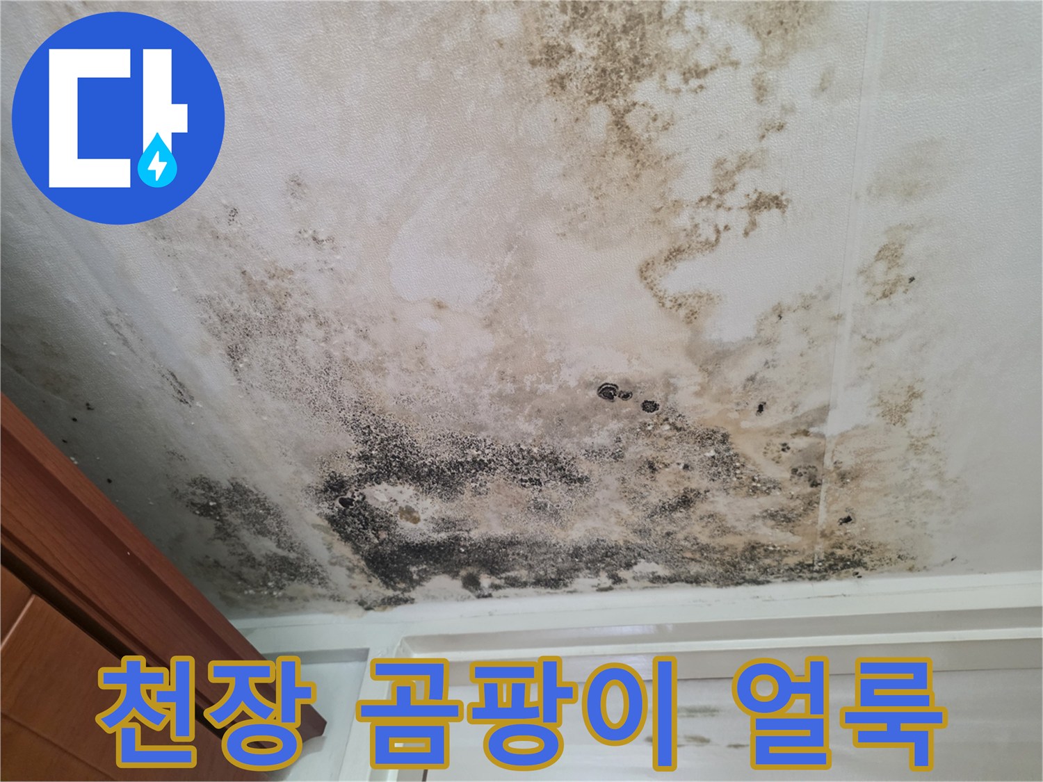 심하게 오염된-천장 곰팡이와 물 얼룩 상태