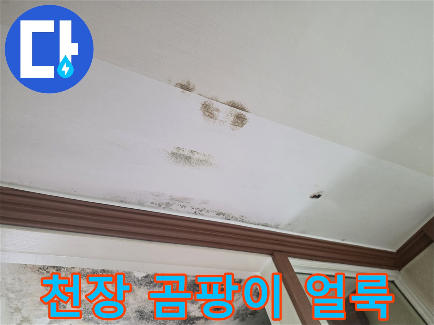 천장 마감재에 나타난 젖은 자국과 곰팡이 번짐 현상