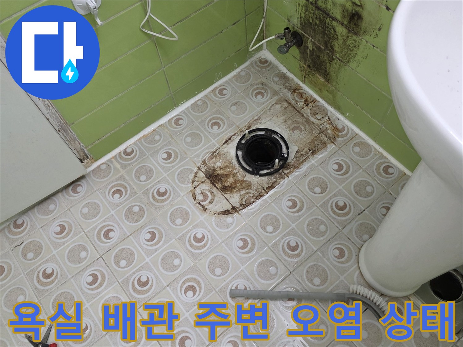 구리 수동 현장-하수 배관 주위의 곰팡이와 오염된 타일 모습