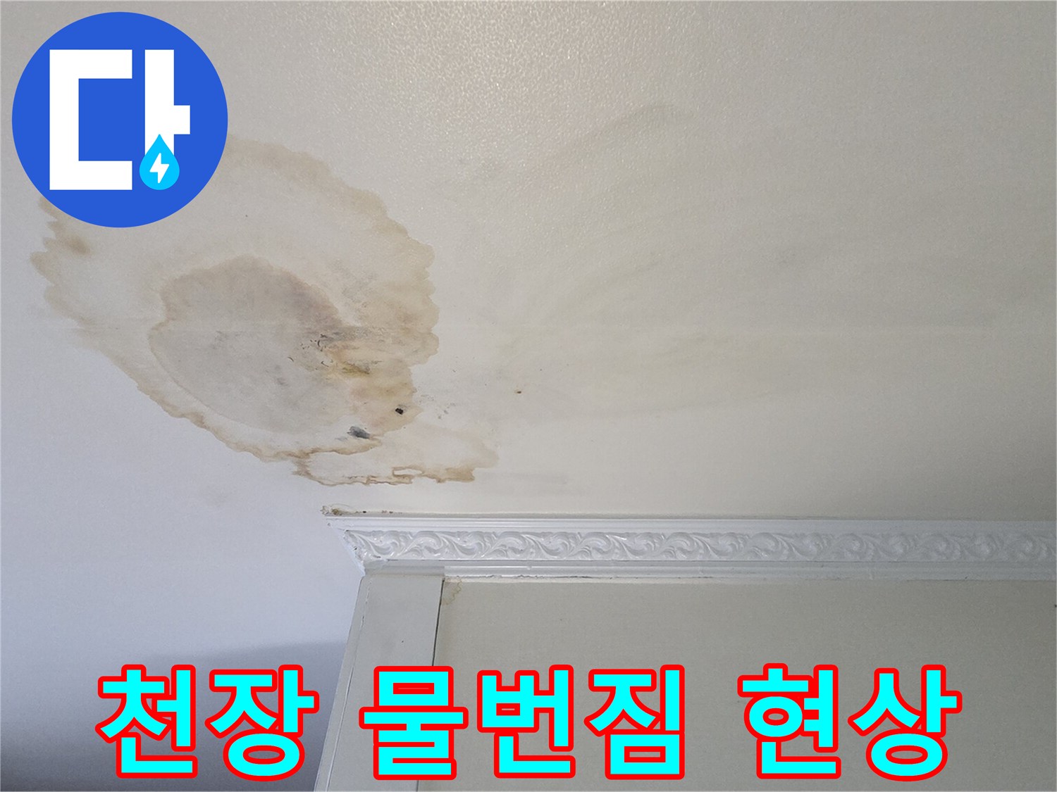 넓게-퍼진-천장-물자국과-변색된-부위