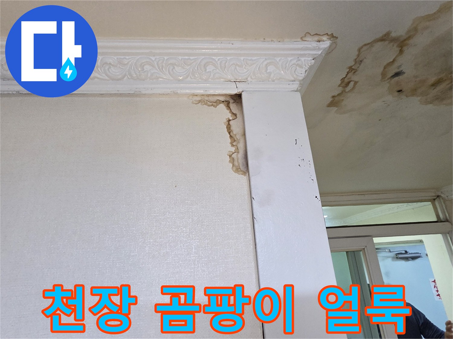 천장-구석부분의-누수-및-곰팡이-번짐