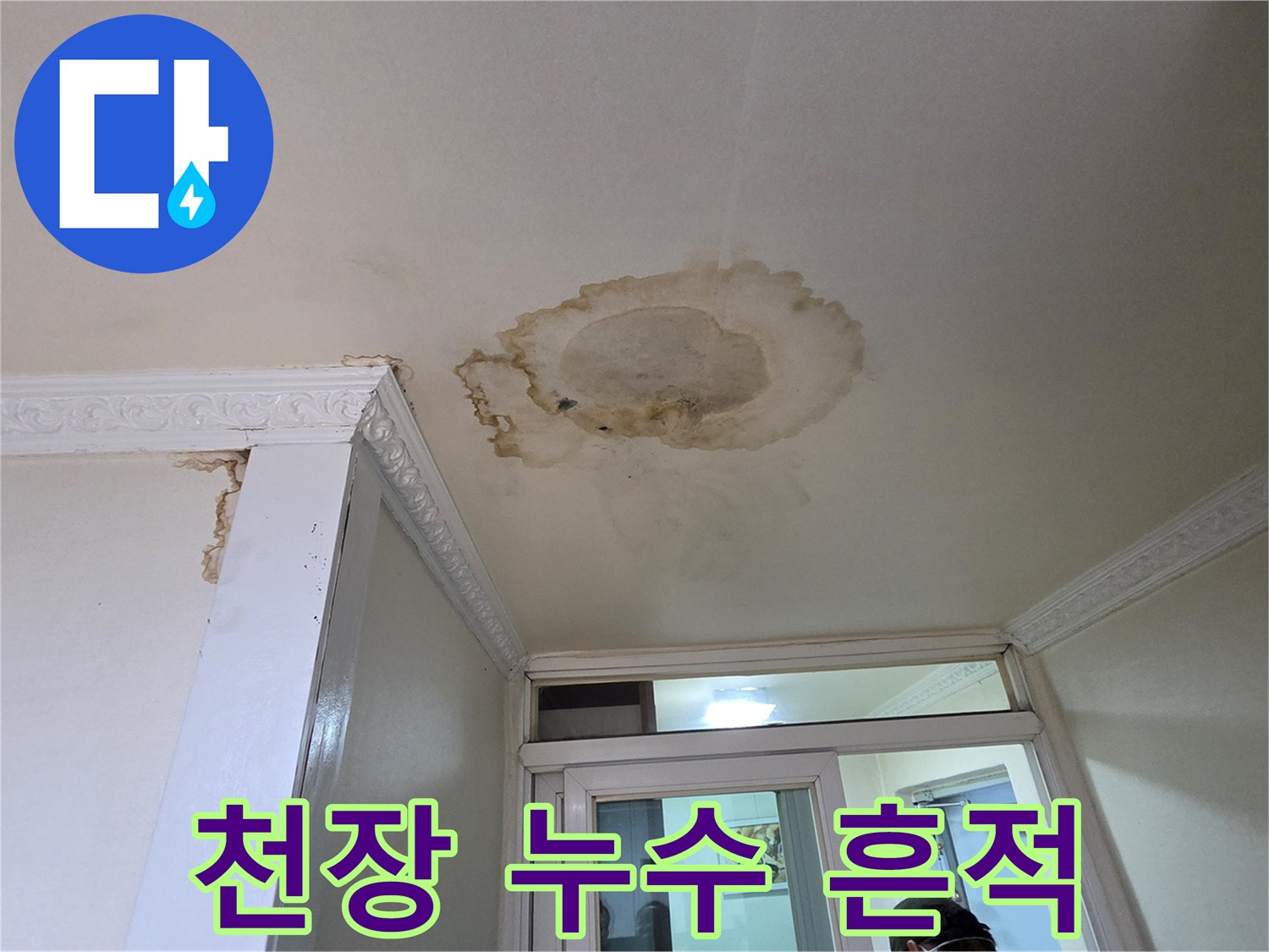 천장 중앙의 젖은 얼룩과 주변 습기 부위