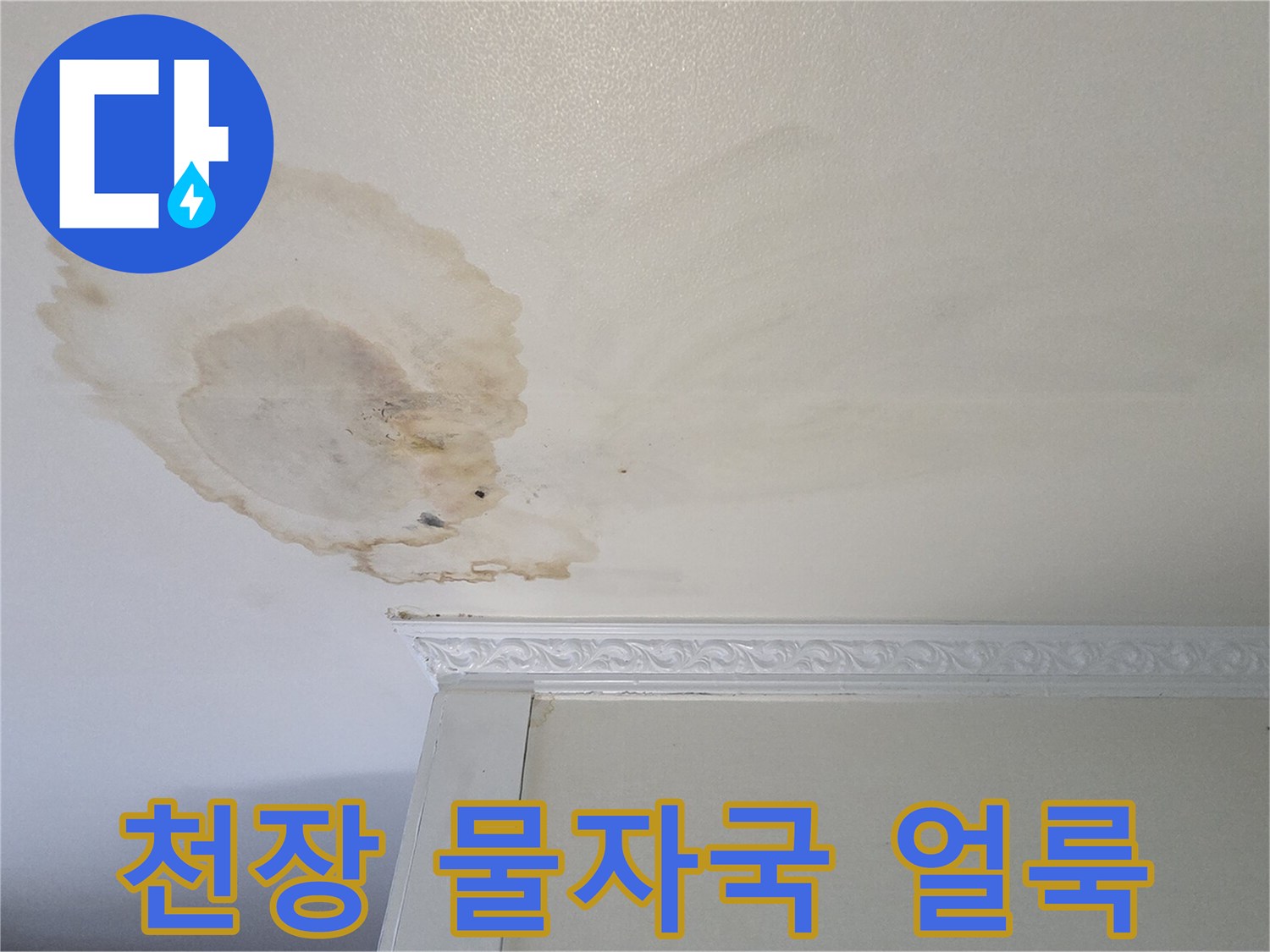 화장실-천장-벽면으로-번진-물자국-상태