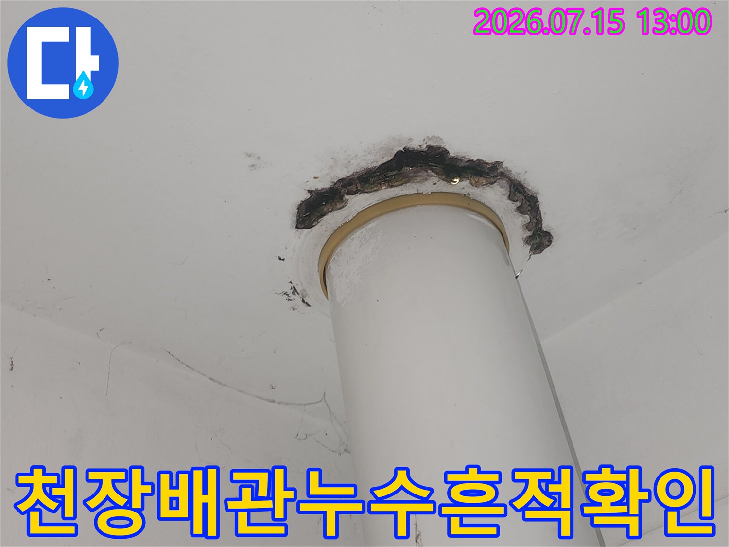 배관 주변이 변색되고 곰팡이가 발생한 천장 누수 현장