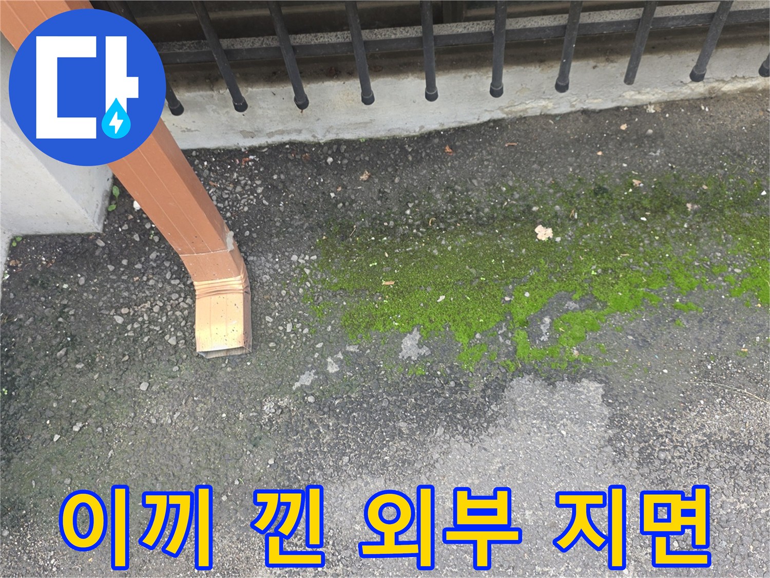 배관-끝부분-주변의-습한-지면과-이끼