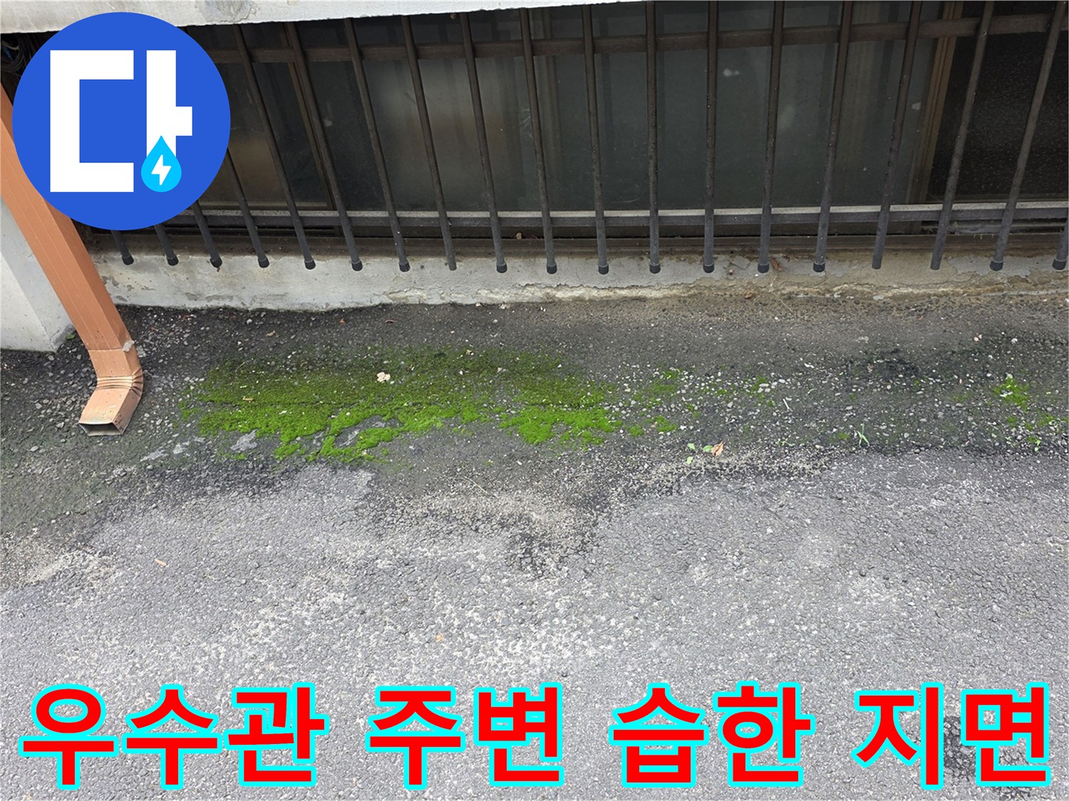 외부-우수관-배관-주변-지면-이끼-상태