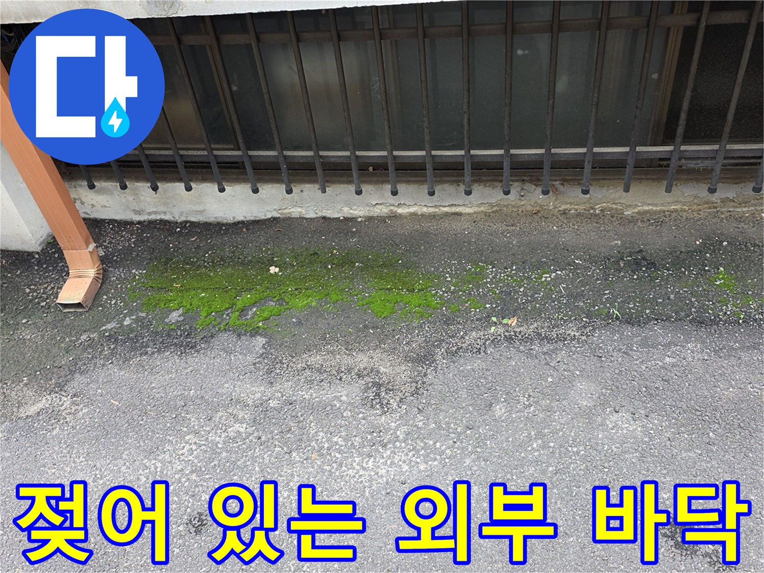 우수관 아래-물 고임으로 인한 이끼 형성