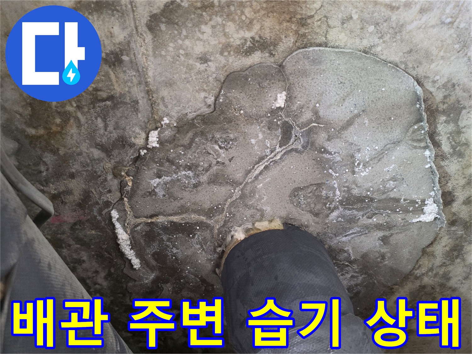 하수관 주변-축축하게 젖어 있는 콘크리트 면