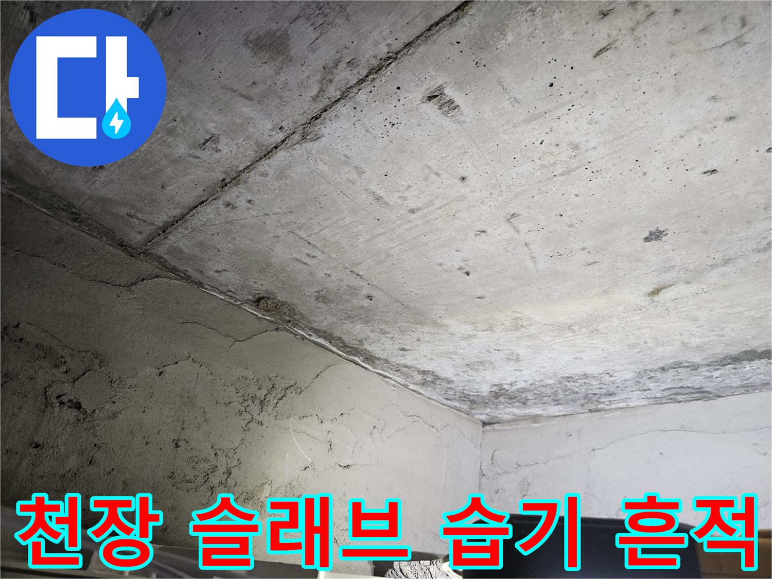 습기가 침투하여 어둡게 변한 슬래브 표면