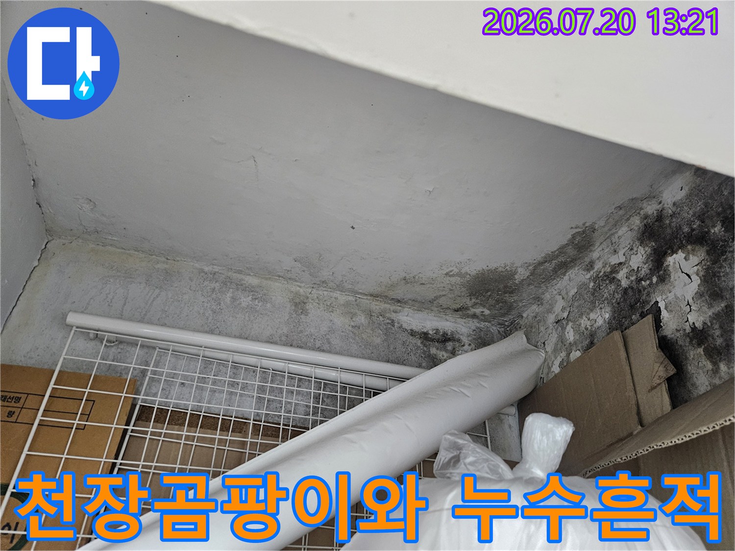 천장 모서리 부분에 발생한 검은색 곰팡이와 습기 얼룩