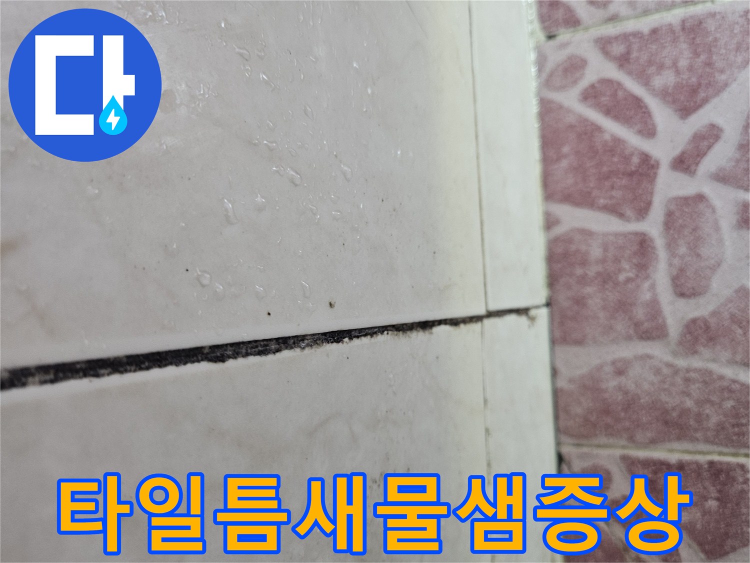 타일-경계-부분의-검은색-오염_및_습기_상태