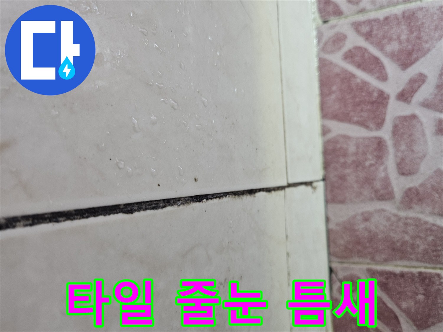 타일-줄눈-사이로-물기가-스며든-상태