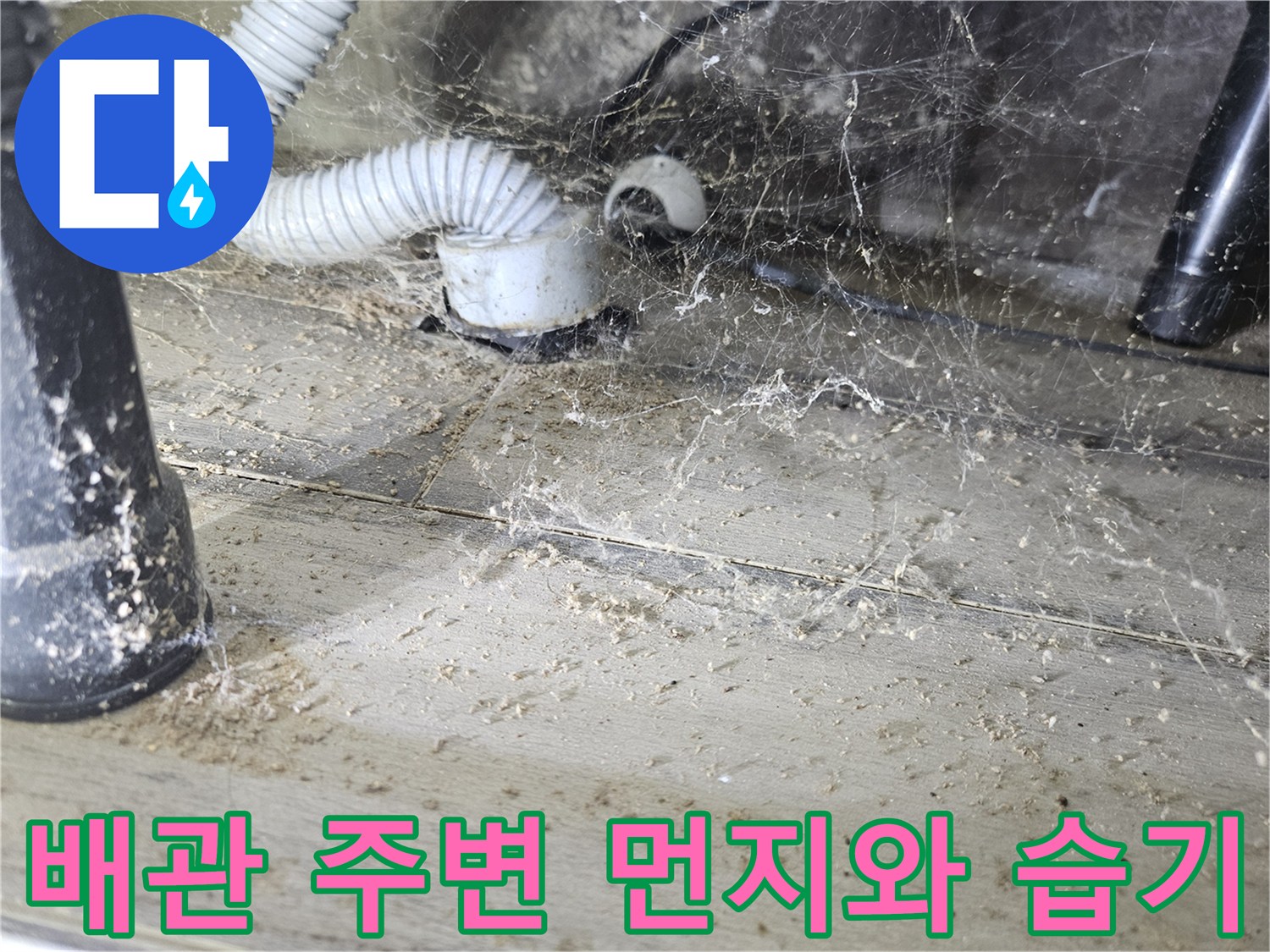 하수관 연결 지점의 오염된 바닥과 배수 호스 모습