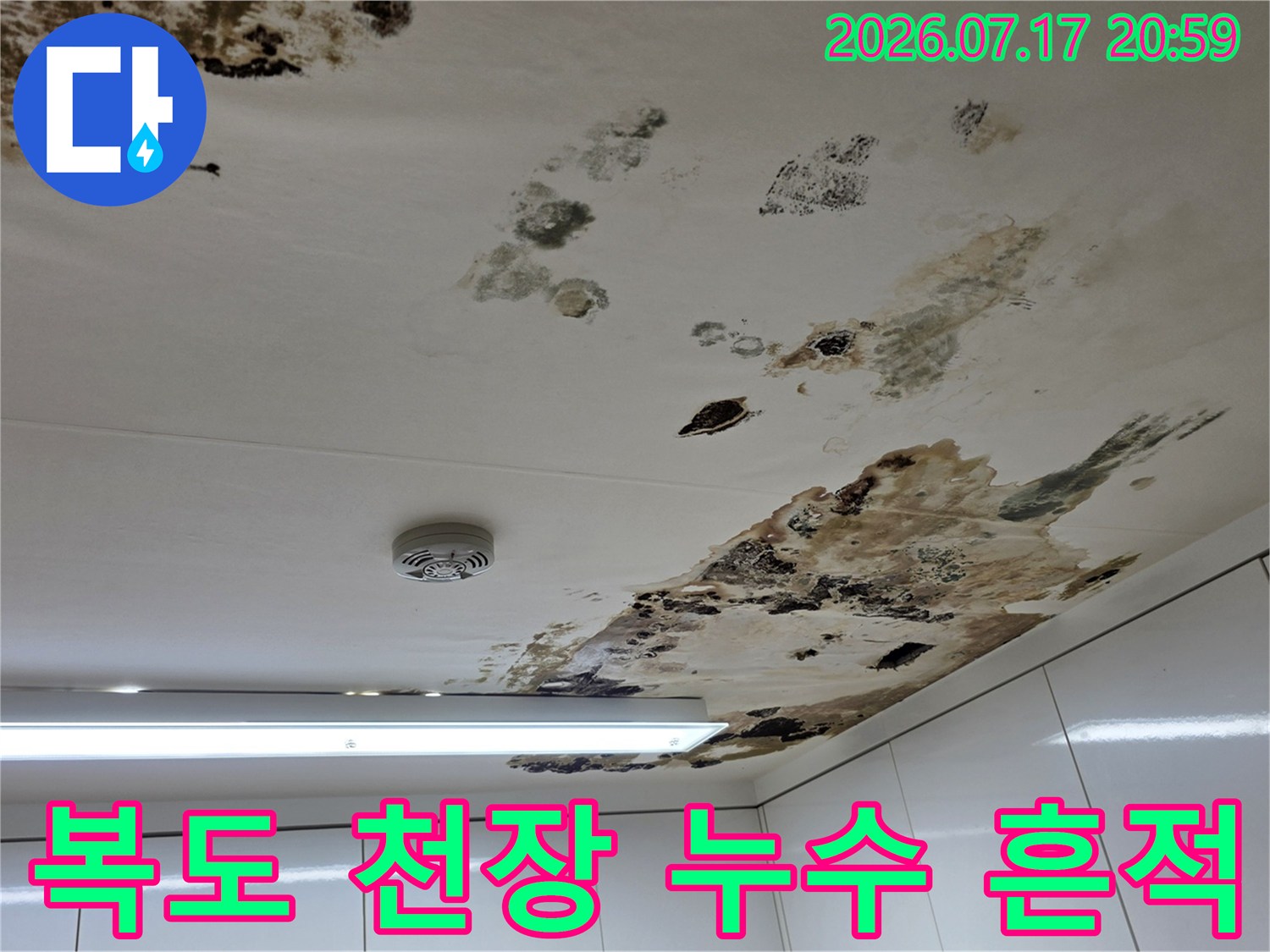 공용부천장을타고흐른물로인해생긴어두운얼룩과곰팡이