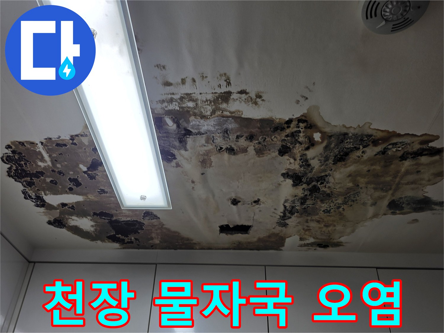 누수로-인한-천장-패널의-심한-물자국-현황