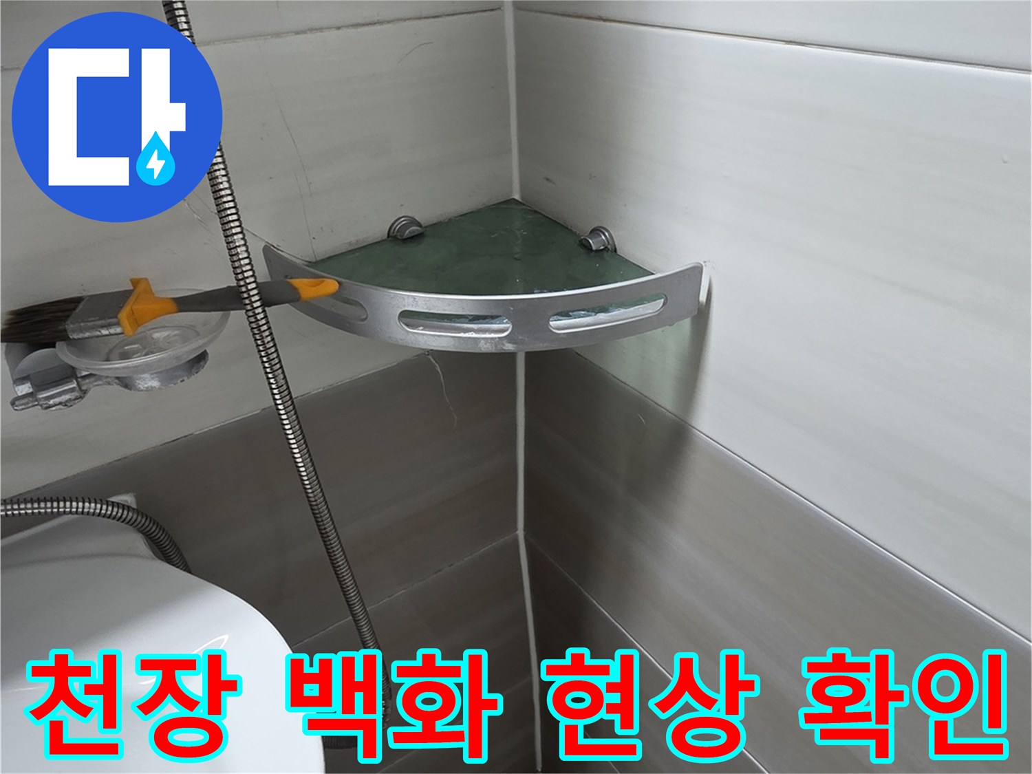 덕양구 화장실 천장-석회물이 맺힌 백화 현상 사진