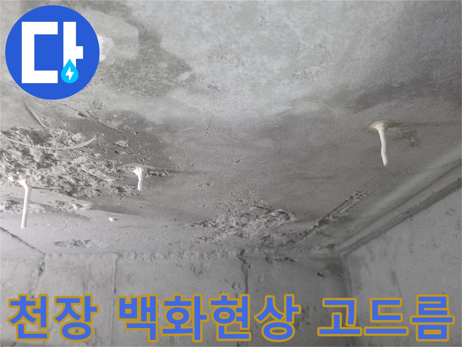 콘크리트 슬라브-하얀 석회물이 맺힌 모습