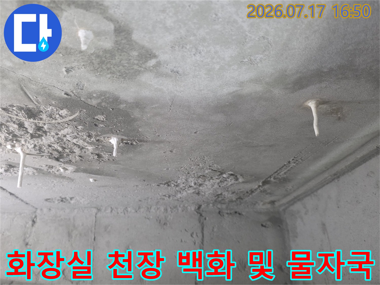 회색-콘크리트-천장에-흰색-석회물이-여러-군데-맺혀있는-상태