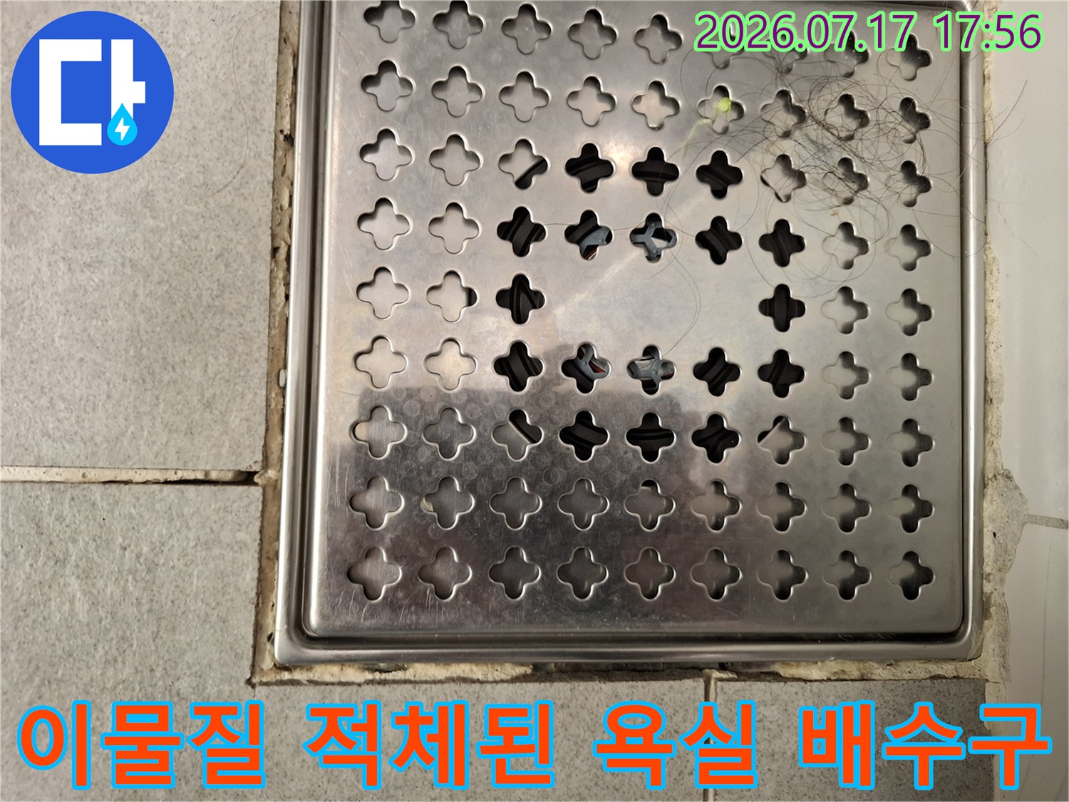 머리카락과-찌꺼기가-섞인-화장실-배수망-모습