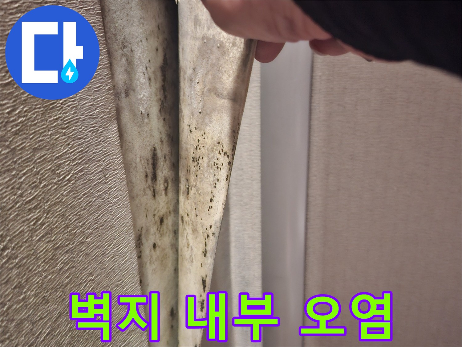 벽지-뒷면에-퍼진-곰팡이-얼룩