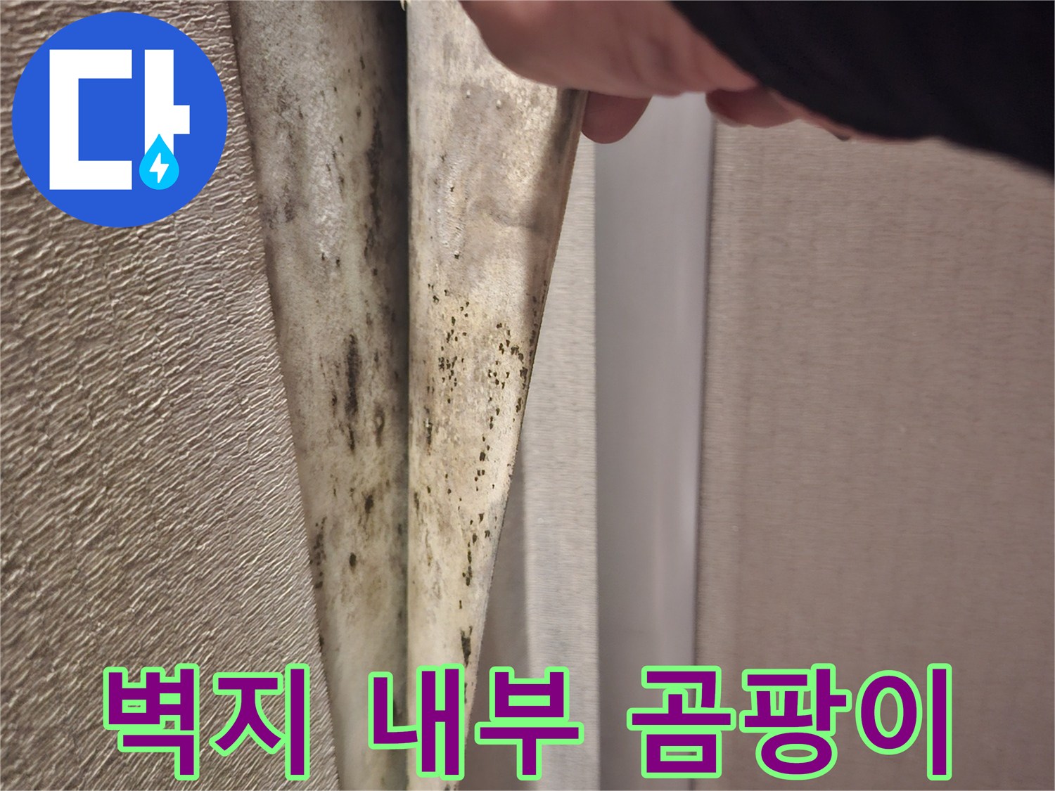 벽지-뒷면의-심한-곰팡이-오염
