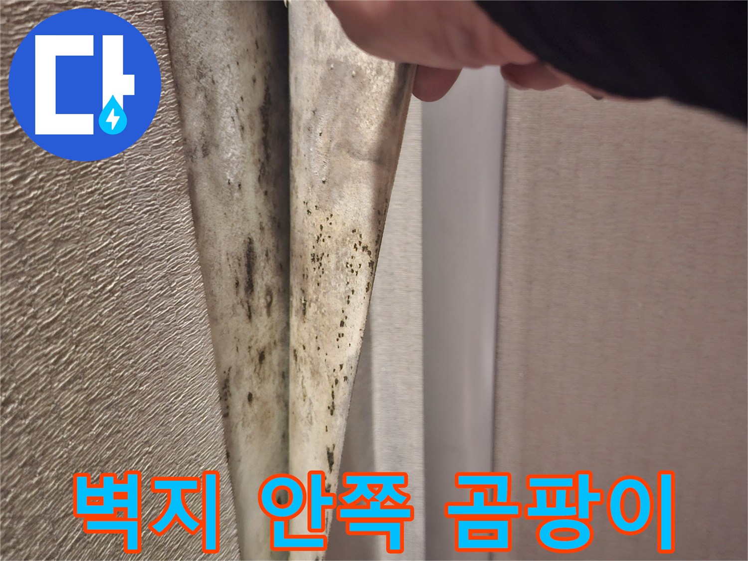 벽지-하단부-곰팡이-및-얼룩-상태