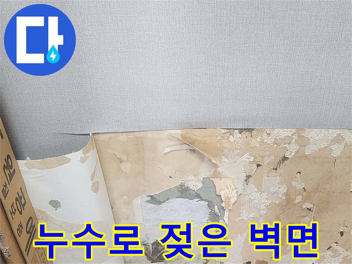 물기가 스며든-벽지 들뜸과 얼룩