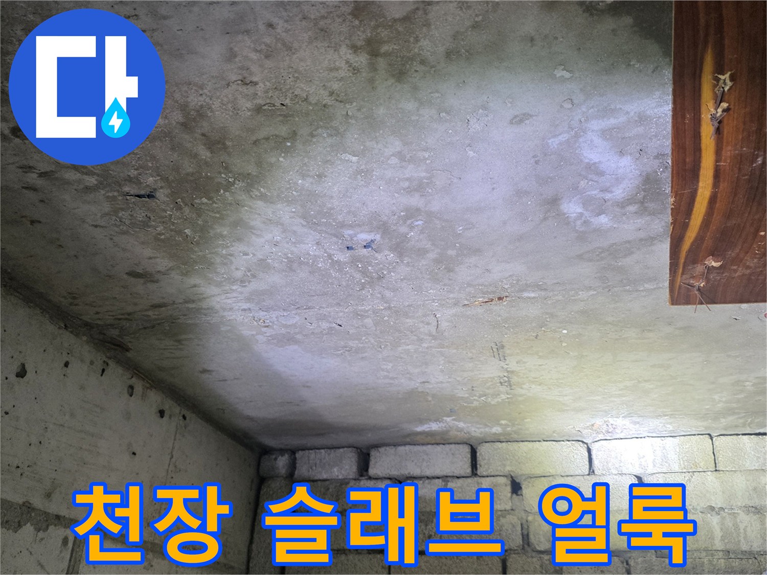 누수 증상이 나타난 천장 콘크리트 면