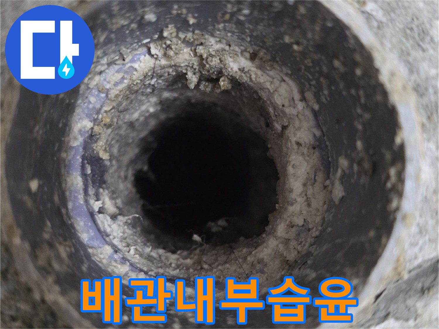 축축하게-젖어있는-하수구-배관-틈새