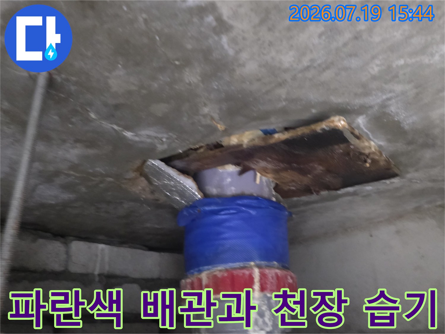 콘크리트 천장의 파손된 틈새로 노출된 파란색 보온재 마감 배관의 모습