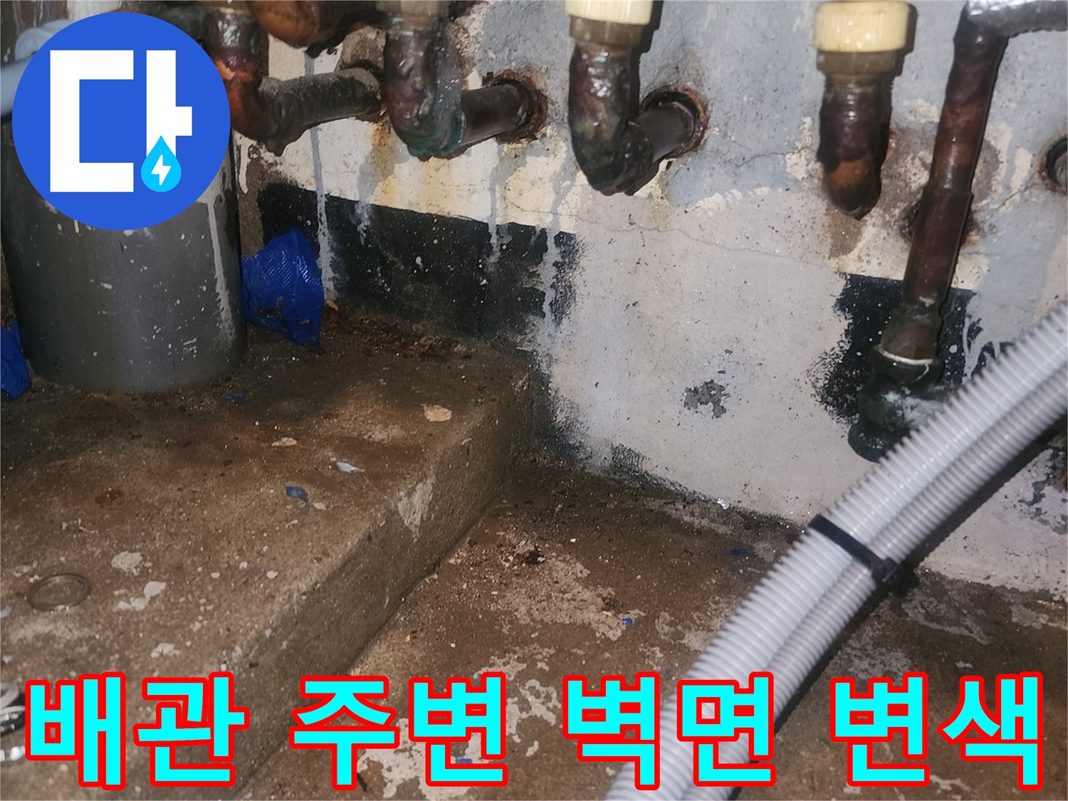 배관-연결부-뒷벽의-검은색-오염과-습기-상태