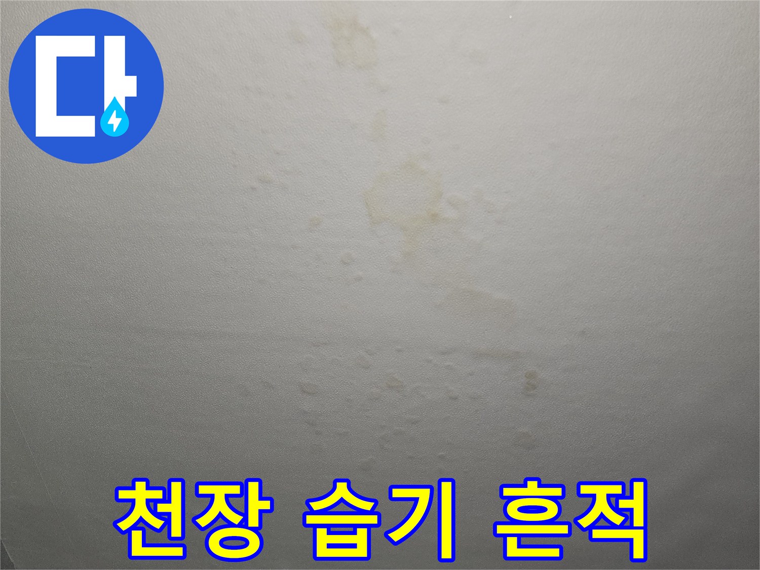 천장-벽면에-스며든-누수-흔적과-습기