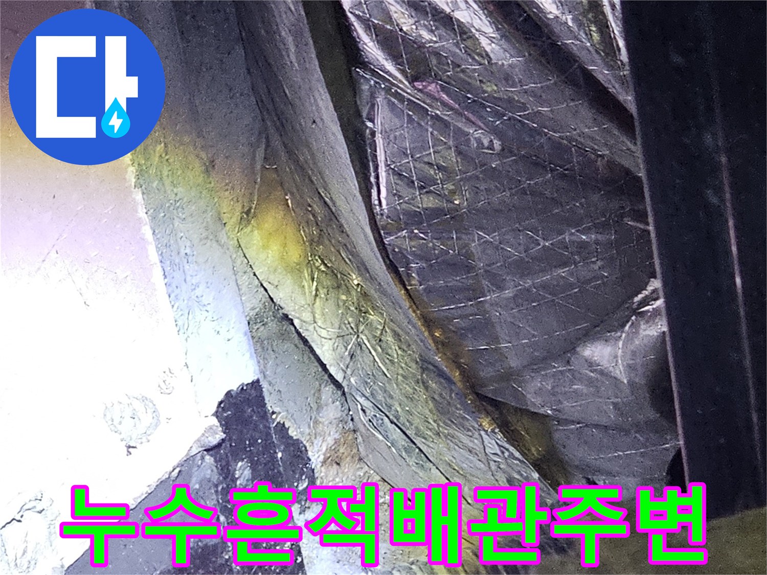 성남-분당-지하-배관-주변-물기-및-습기-상태