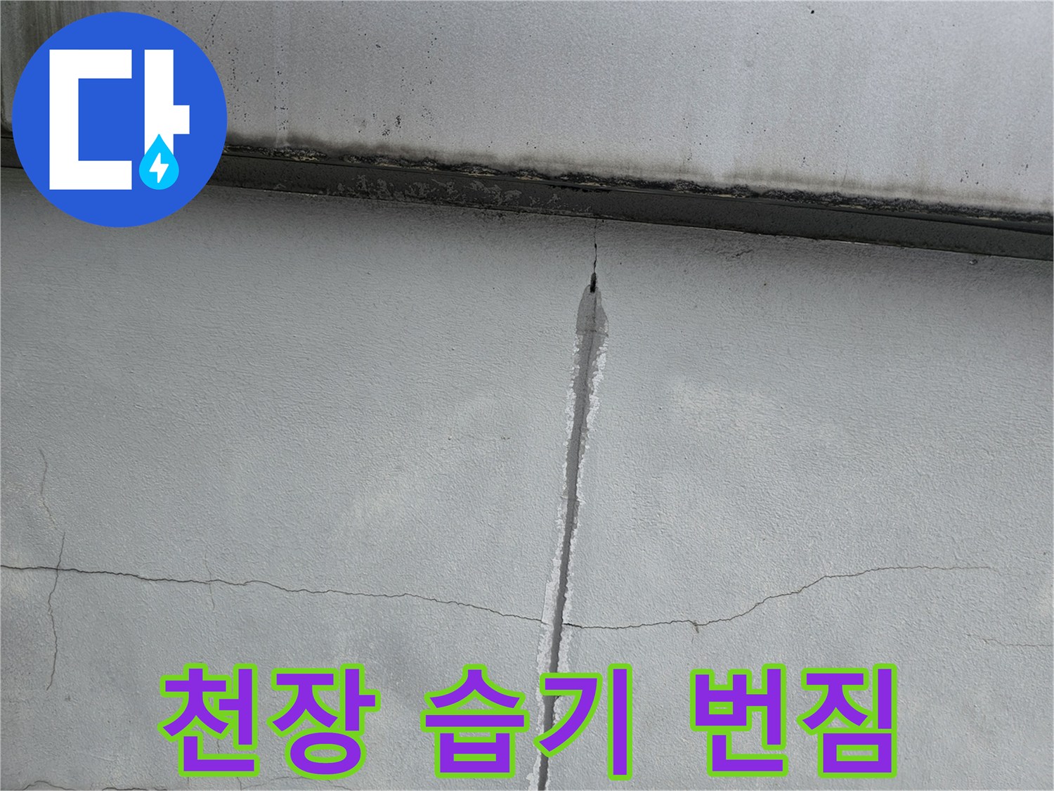 콘크리트-천장-균열-주변-습기-번짐