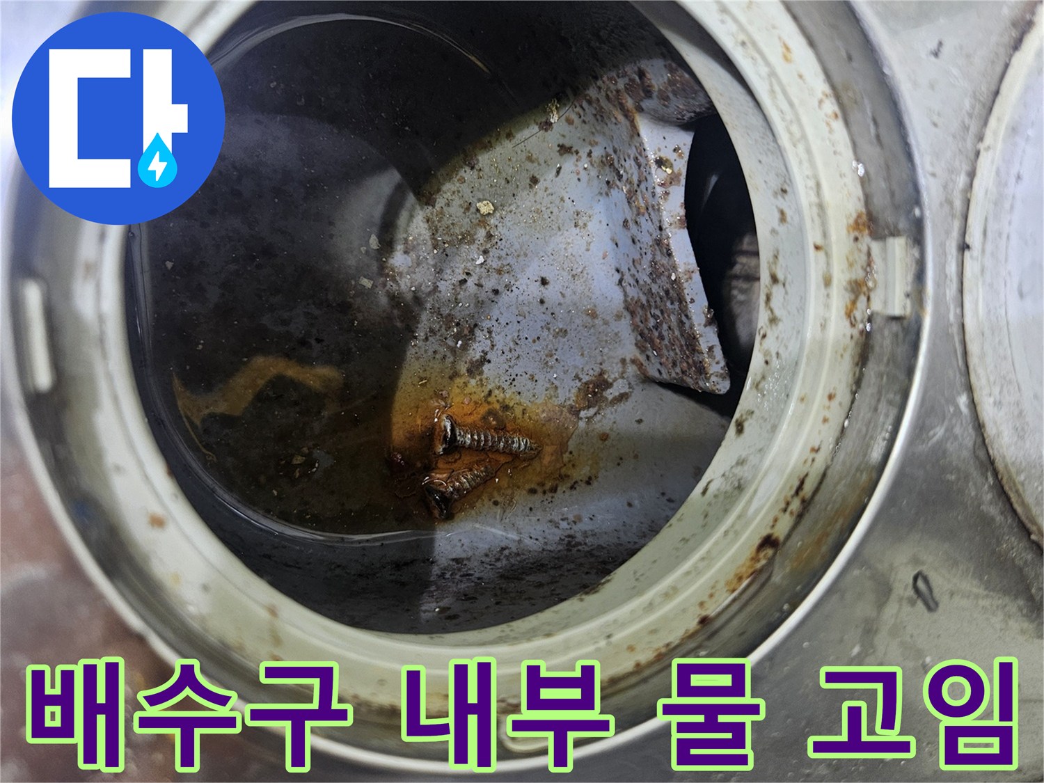 배수구-안쪽의-고인-물과-오염된-상태