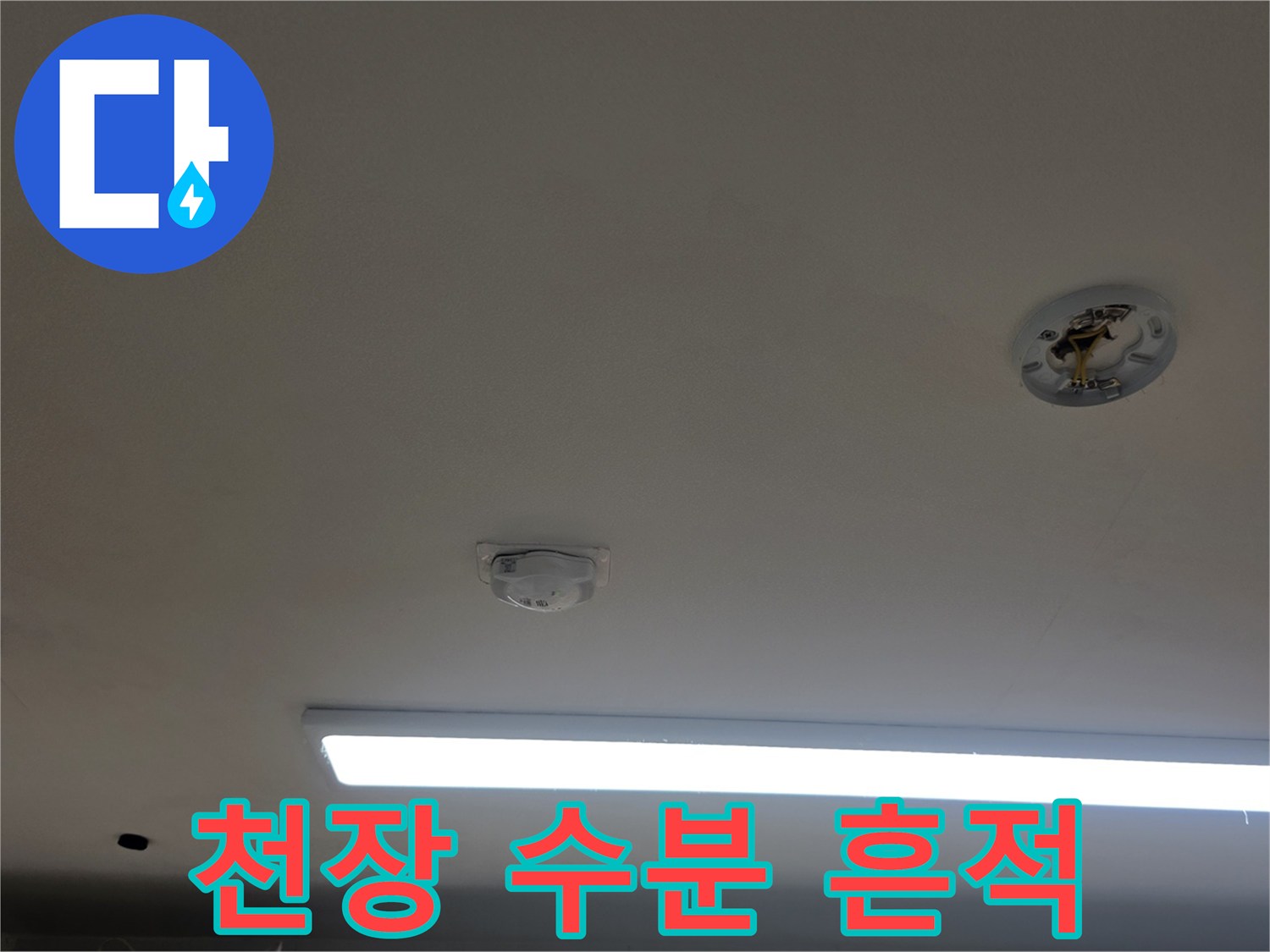 아파트 주방 천장-매립등 주변의 누수 얼룩