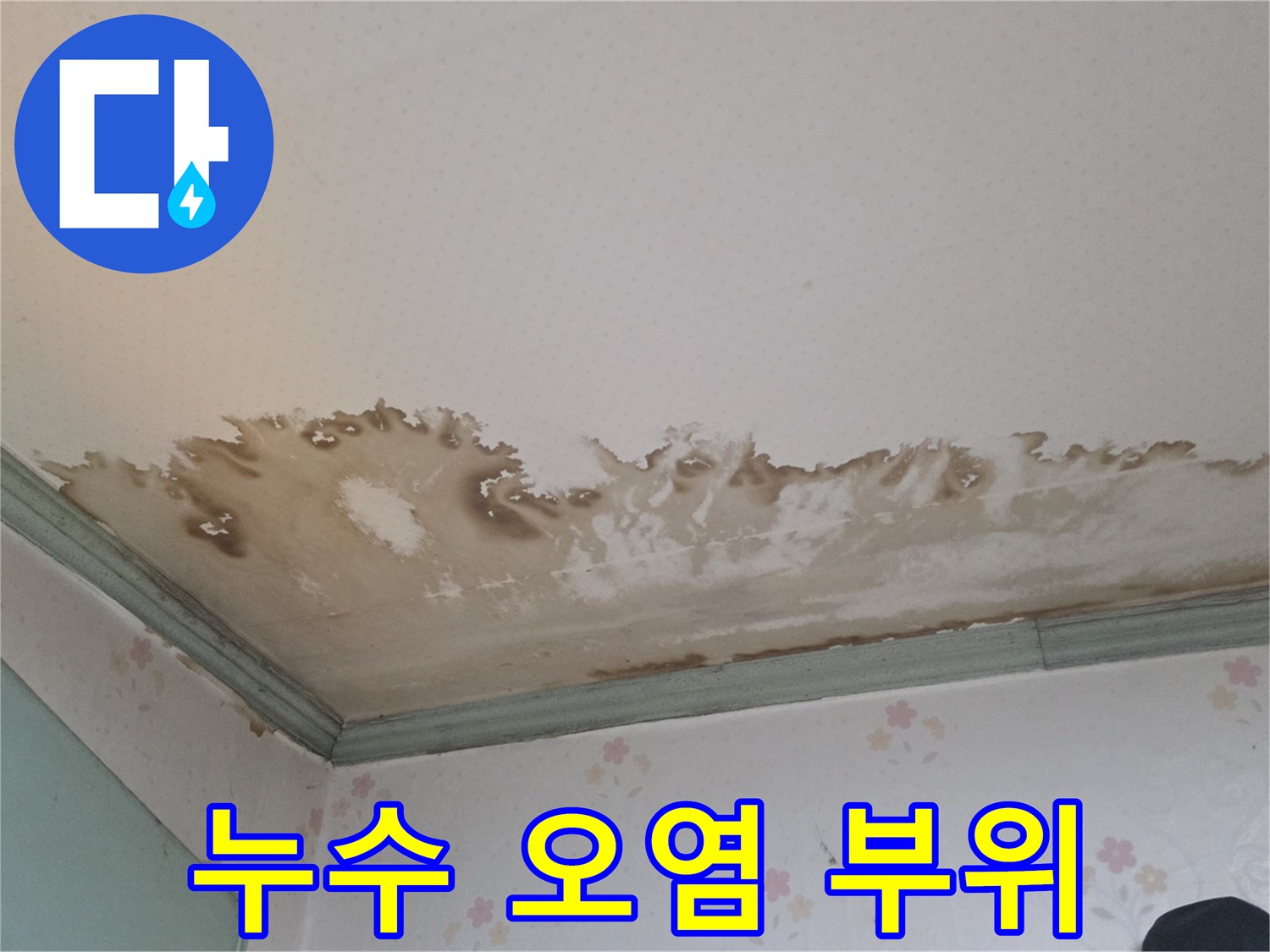 천장 벽면의 심한 물 얼룩과 변색된 상태
