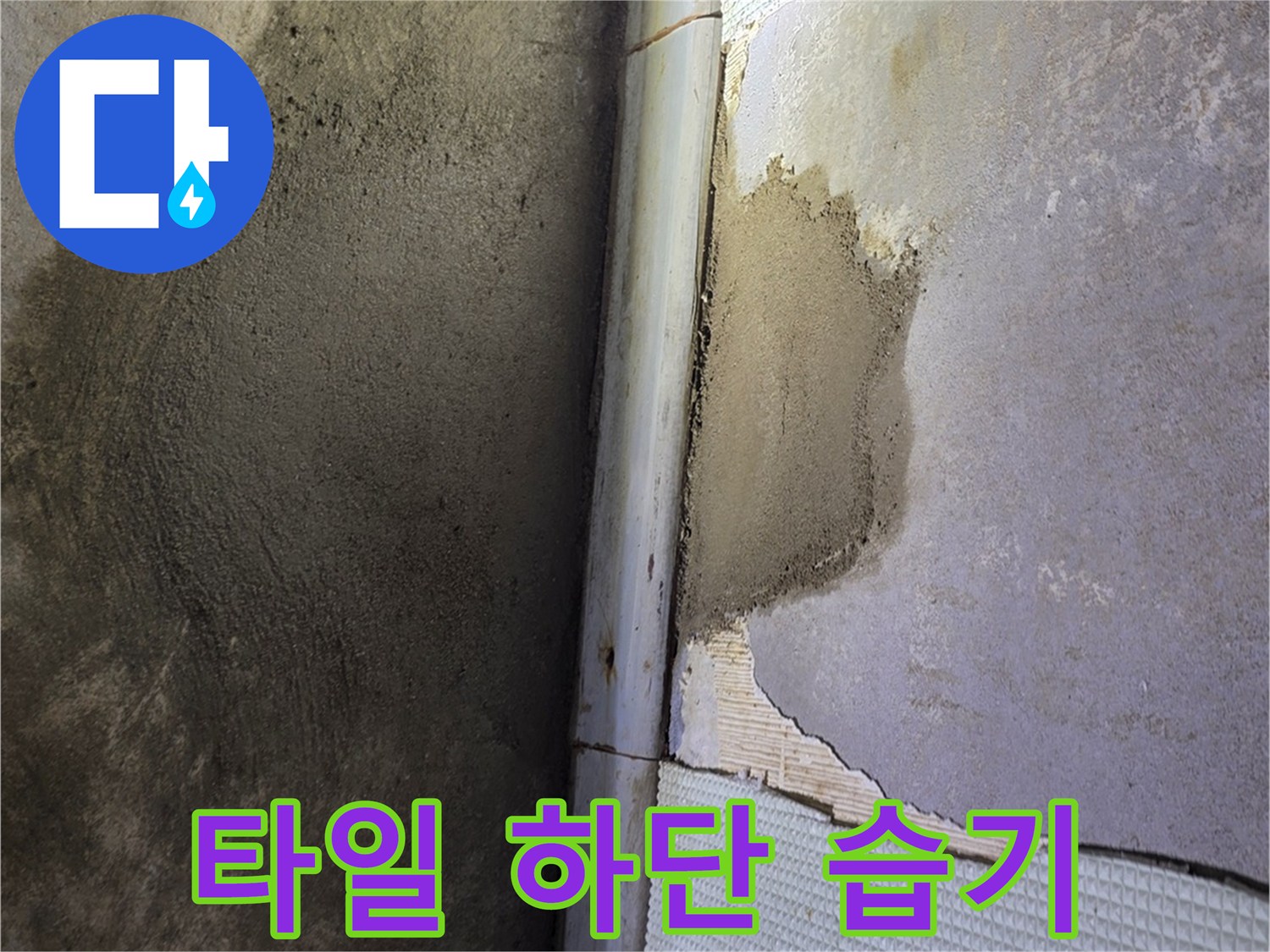 화장실-벽체-하단부-습기-및-탈락