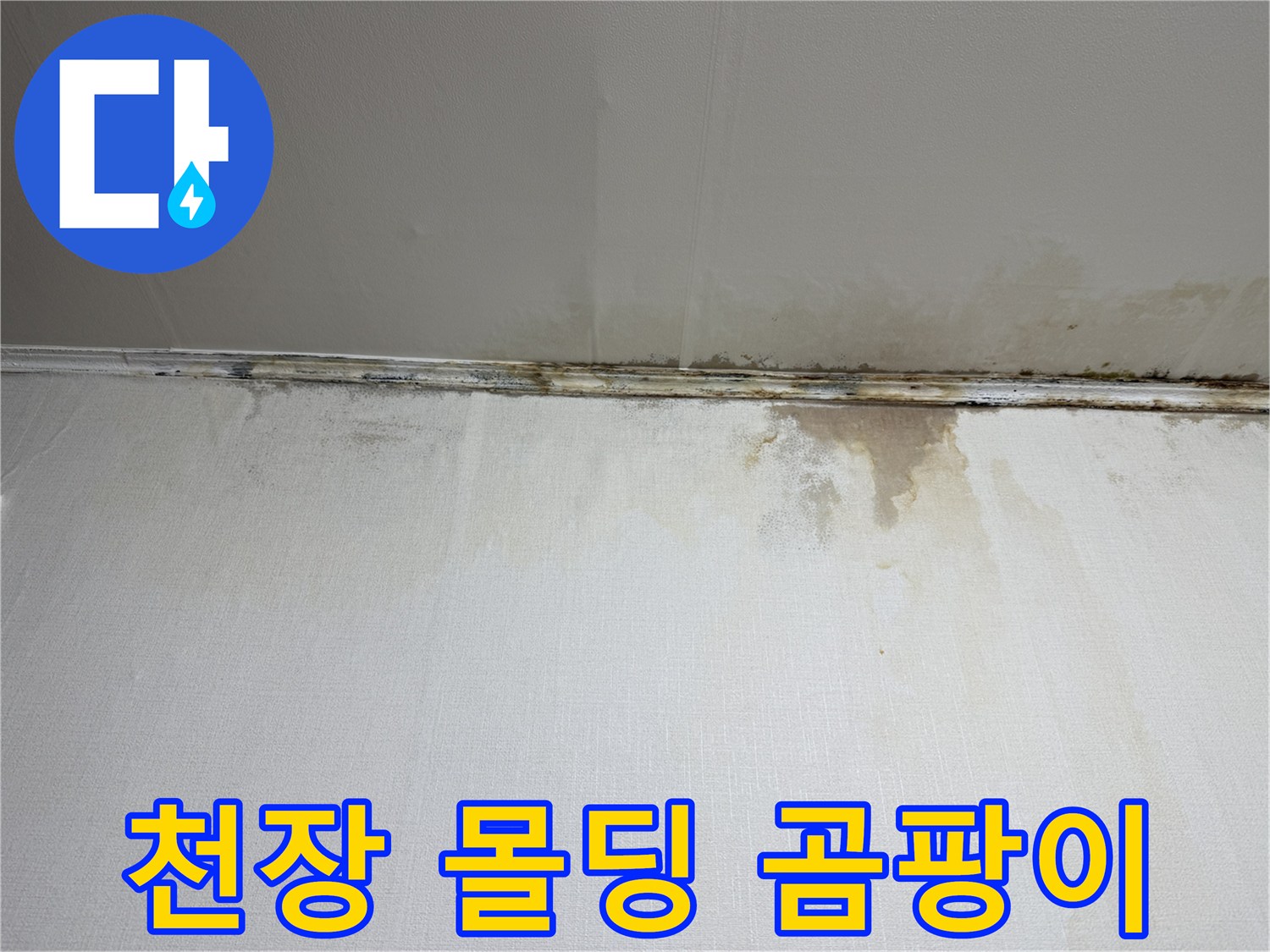 습기로-오염된-천장-경계면-사진