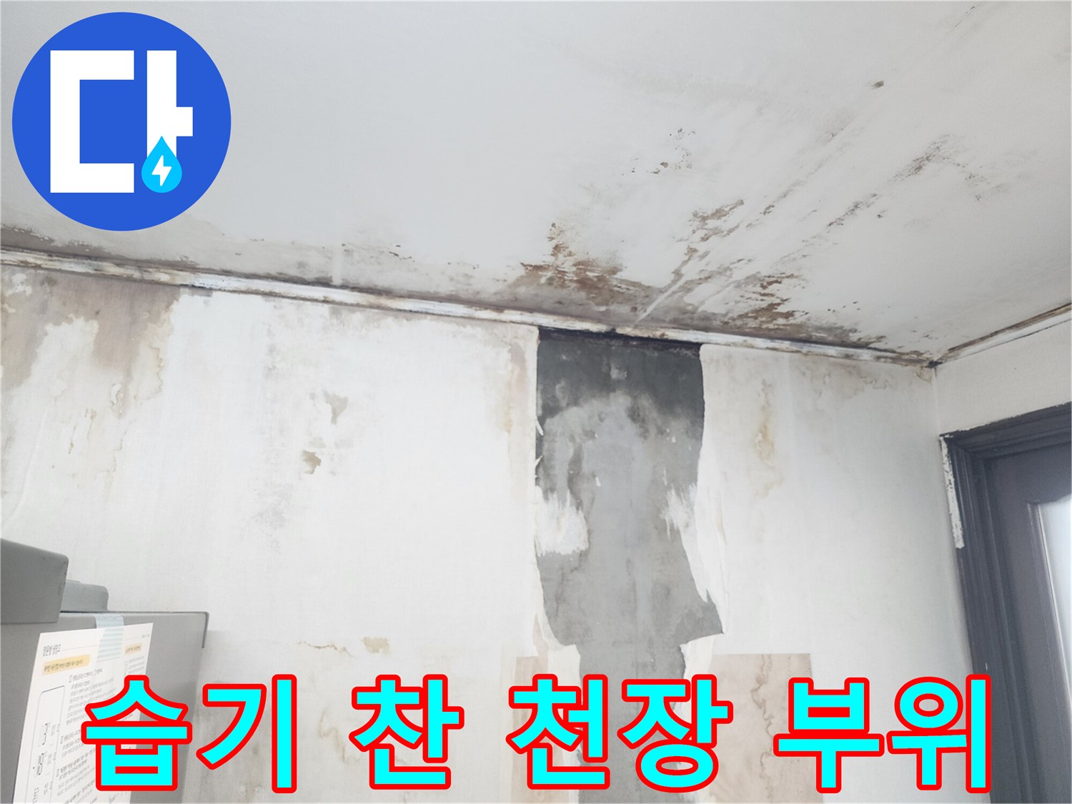 천장 모서리 누수-벽면 곰팡이 발생 현장