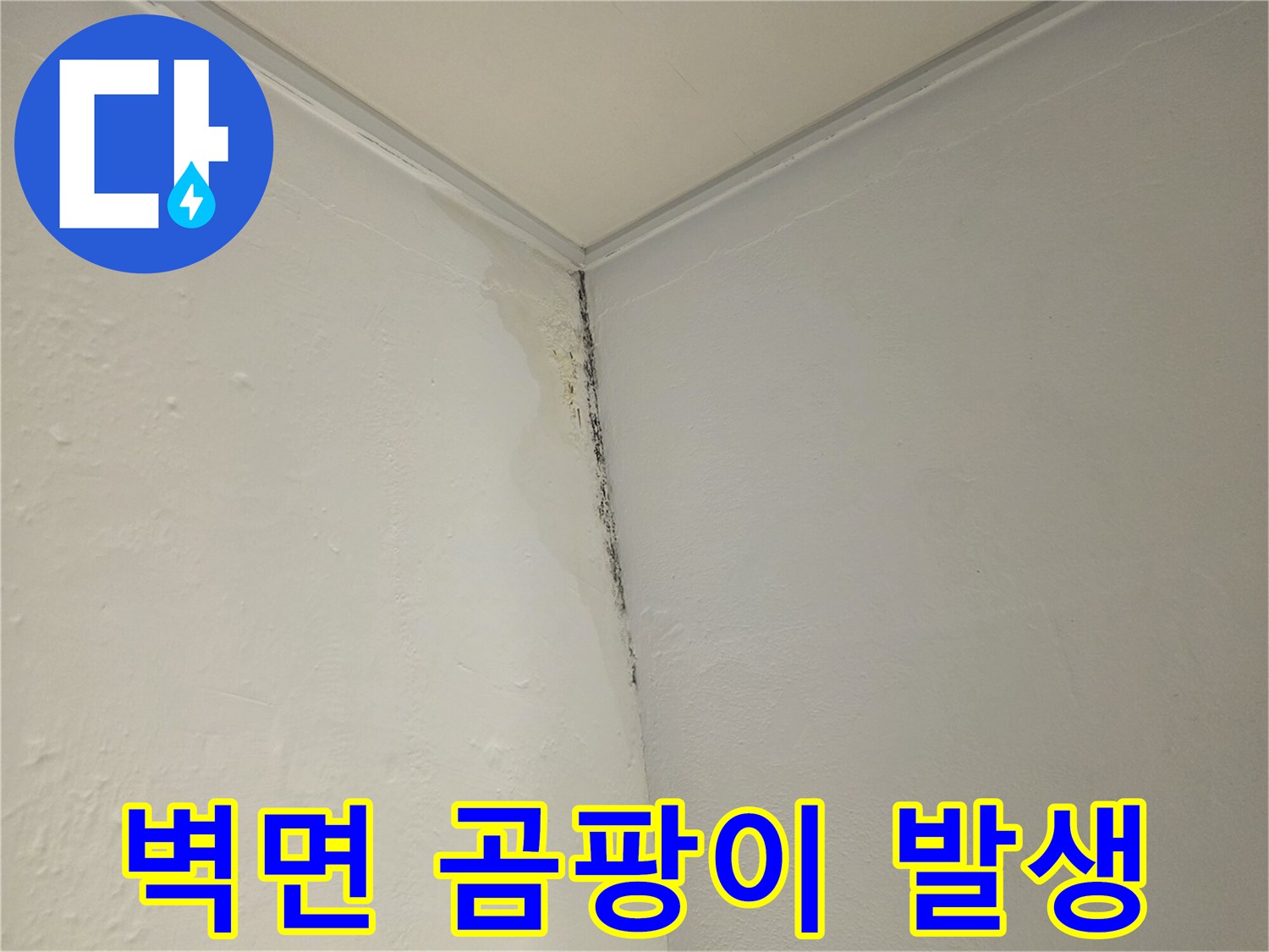모서리 벽지-물침투로 인한 곰팡이 현상