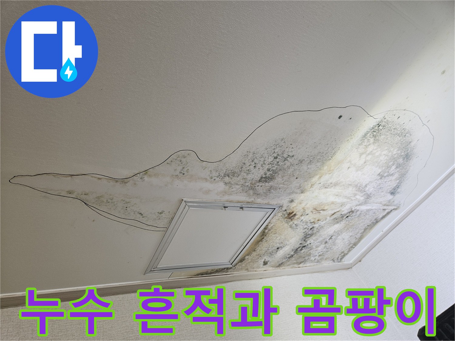물샘으로 인해 변색되고 곰팡이가 발생한 천장 모습