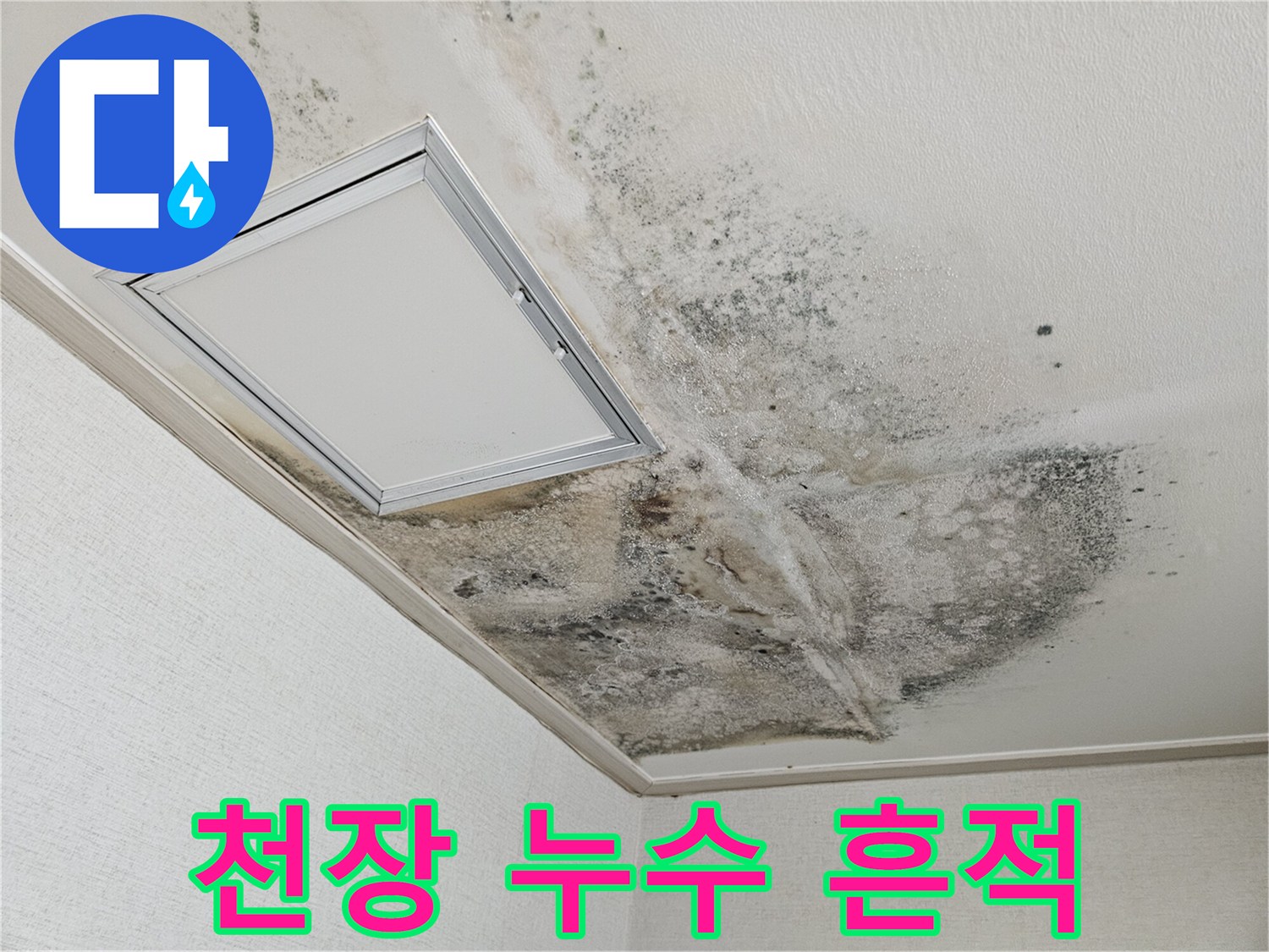 주방 천장-곰팡이와 물자국이 섞인 오염된 면